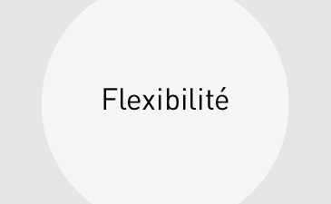 Leistungen_Flexibilitaet_kl_fr